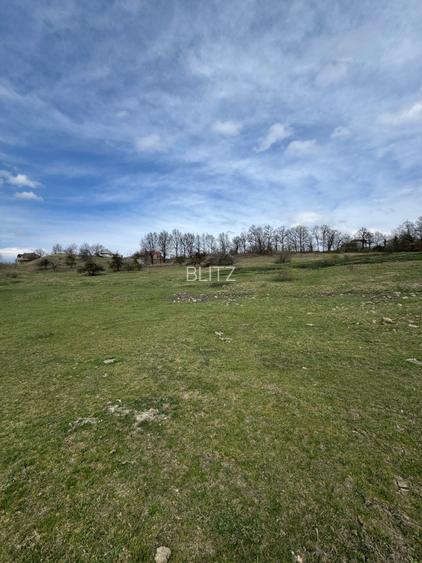 Teren intravilan 1.17ha cu panoramă superbă și PUZ aprobat – Baia Sprie - 5