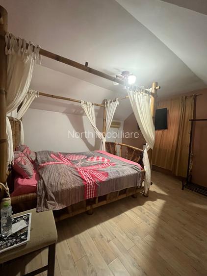 Vand casa individuala Dobroiesti - 9