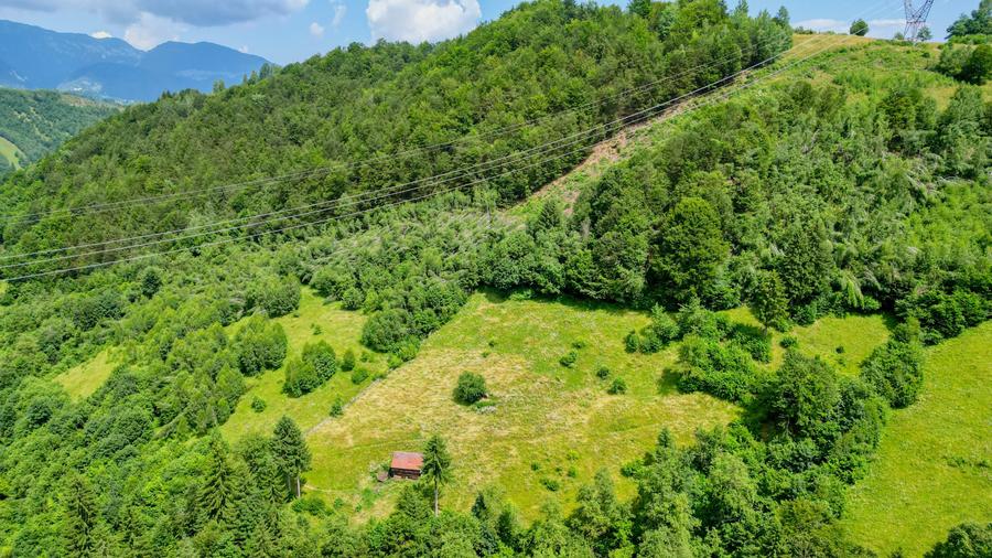 Investitie Smart in Moieciu, 3.1 ha, Panoramă 360 Bucegi - Piatra Craiului