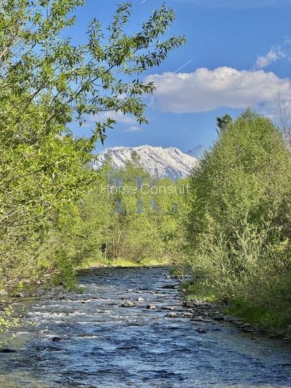 Teren de vânzare – Valea Avrigului, jud. Sibiu | 1.600 mp - 4