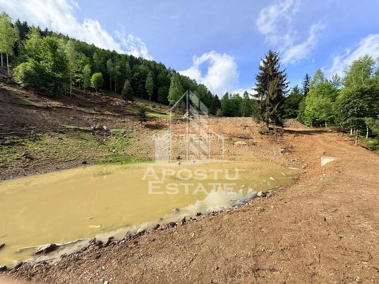Oportunitate! Domeniu montan, cu lac propriu, oras Lupeni, Hunedoara - 34