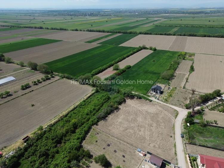 Teren 1,660mp Radulesti / Com Vanatori - 10
