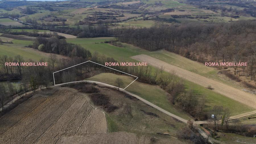 Teren superb de vânzare în Dumbrăvița – 3.750 mp