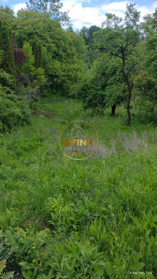 Teren intravilan de vanzare in Breaza – Strada Primaverii