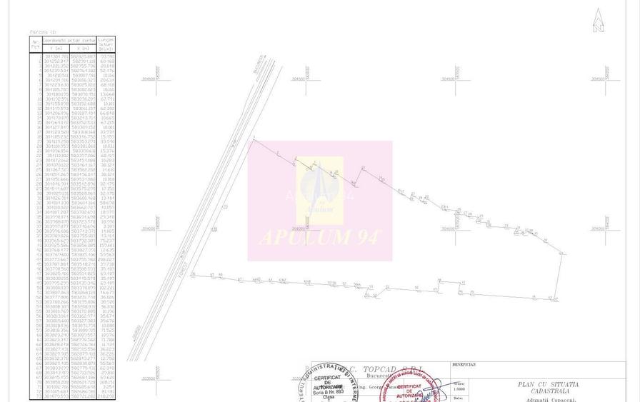 Teren 40ha Adunatii Copăceni | Industrial/ Logistic - 6