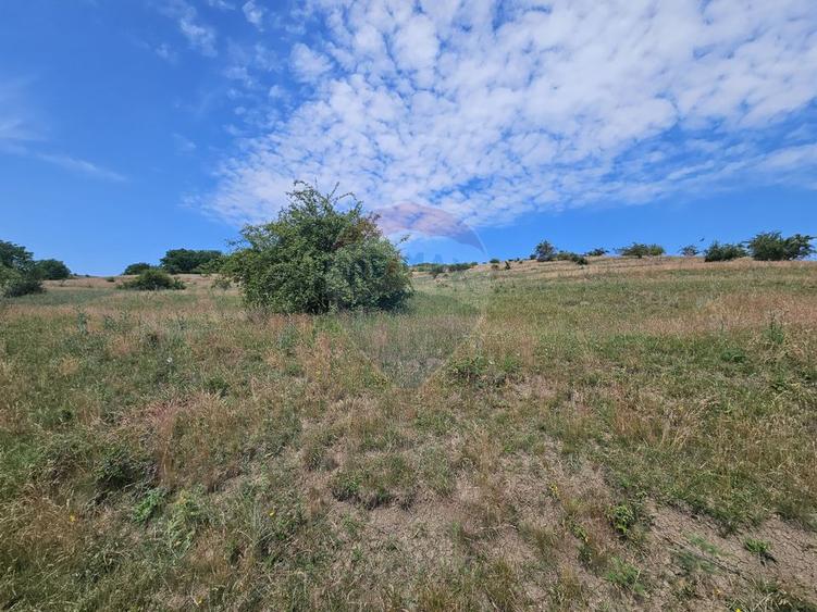 Teren extravilan de vanzare in Campenesti