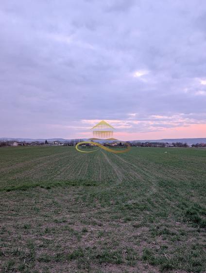 TEREN INTRAVILAN IN LILIECI, BACAU