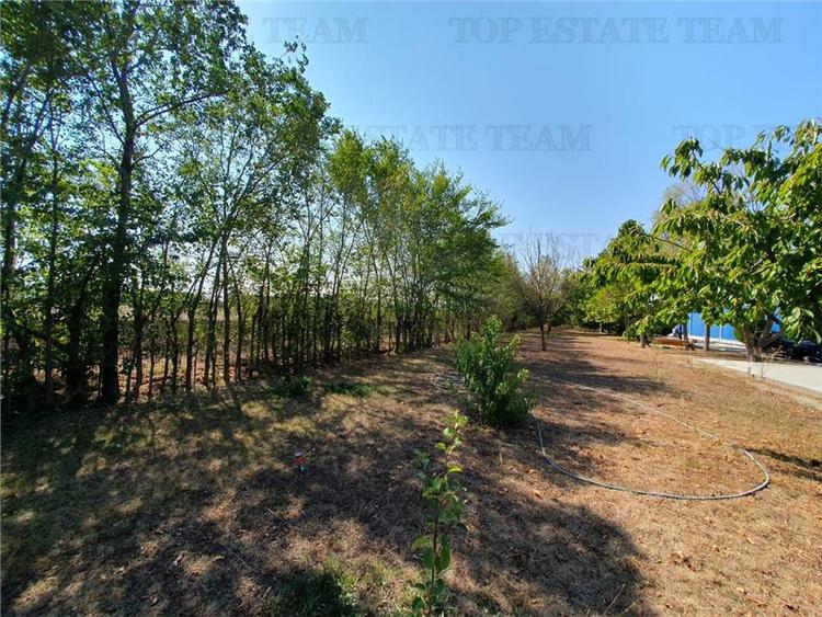 Teren intravilan agricol si teren curti constructii Lot 2 Parcela A326/49