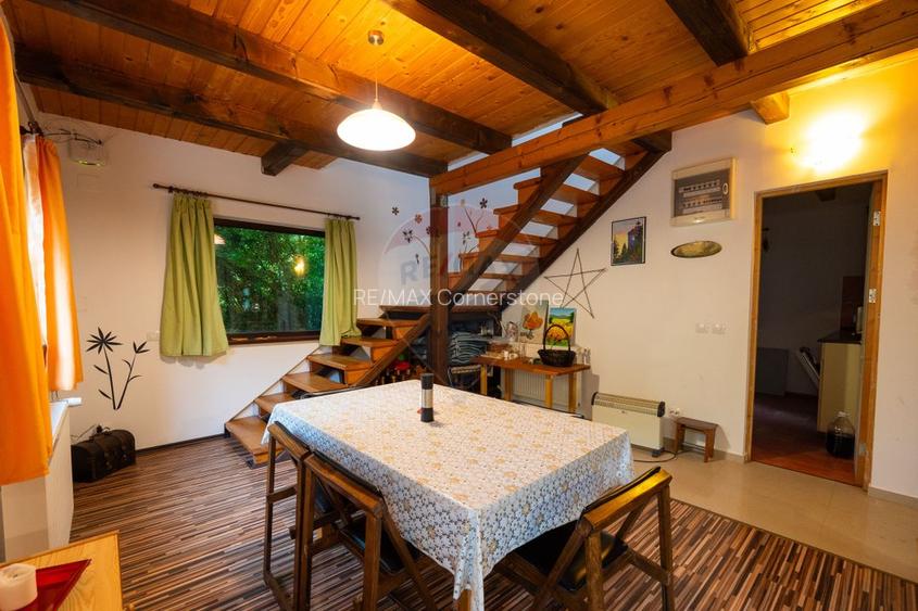 Casă de vânzare cu teren 2.340 mp și pârâu propriu — Bălilești, Argeș - 6