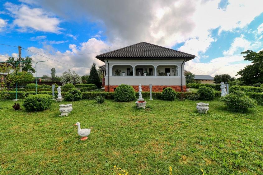 Oportunitate - Casă boierească de poveste- 7000 mp teren
