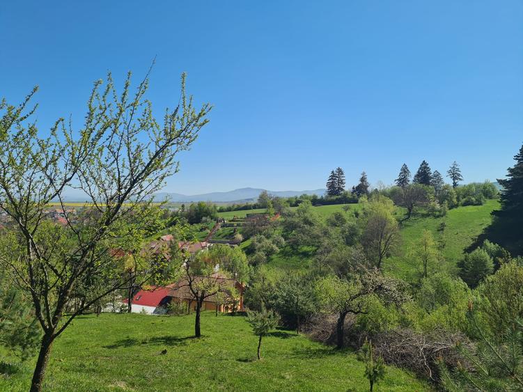 Teren deosebit - 1500 mp, Poiana Angelescu, Str. Livezii