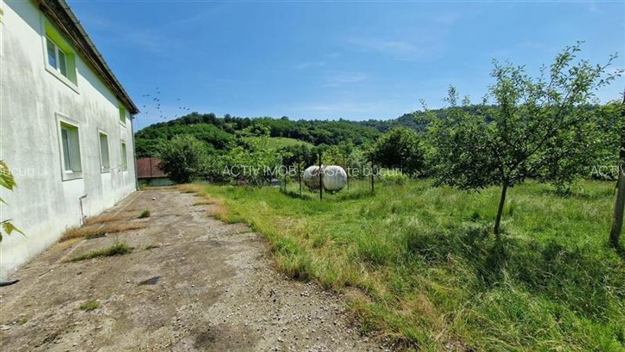 Farliug Casa sau Afacere 125 000 euro.Comision ZERO Cumparator - 2