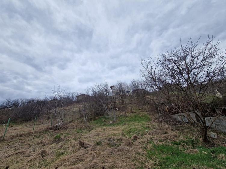 Teren cu toate utilitatile 584 mp, Dezmir zona str Criseni