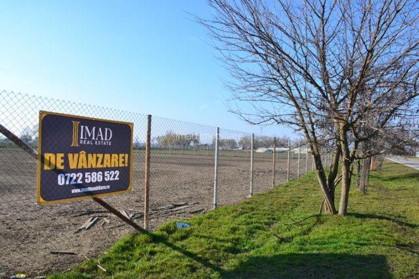 Vanzare Teren intravilan, 5600 mp in Mircea Voda - Dambovita. - 7