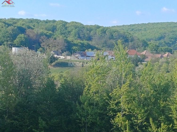 Teren extravilan Bradu - zona cu panorama superba - 5