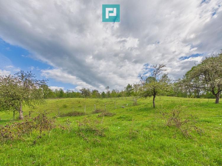 Casă cu teren de 17.681 mp, în loc. Hălmăgel, Arad