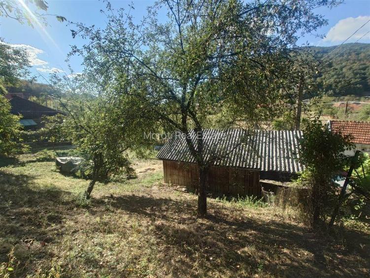 Casa si Teren Criscior