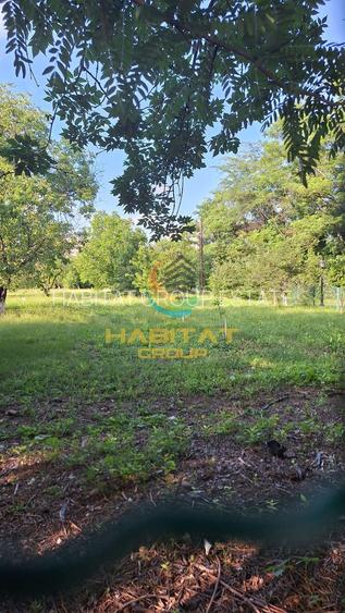 Vanzare casa noua individuala 230 mp Parcul Tineretului - 3