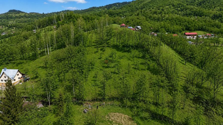 Oportunitate investitie teren la munte, Prahova | 3.485 mp | View spectaculos