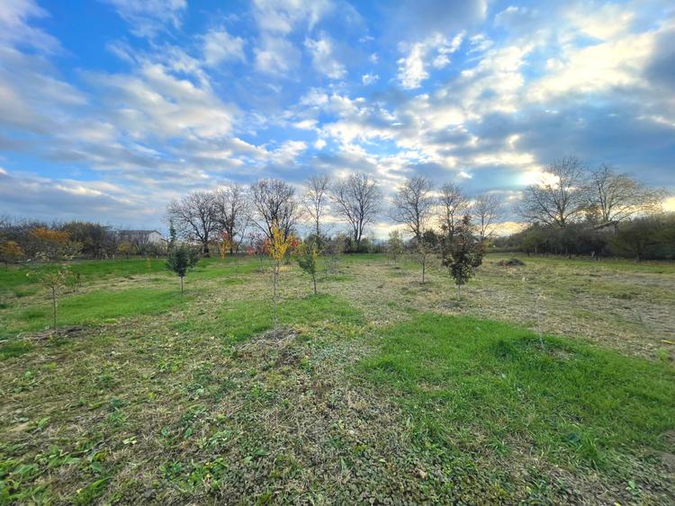 Teren generos cu livadă | 2.260 mp | Paclisa | Alba Iulia