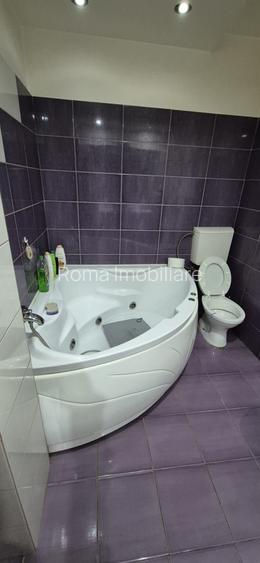 Oportunitate de investiție rară în Sighetu Marmației – proprietate mixtă - 4