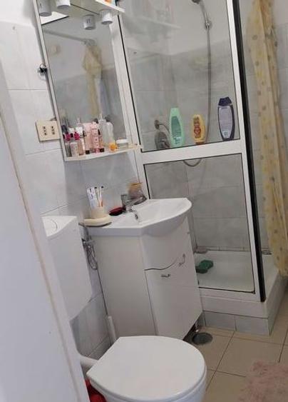 Apartament 2 Camere,Lacul Tei,Grigore Moisil,DECOMANDAT,Amenajat,Liber