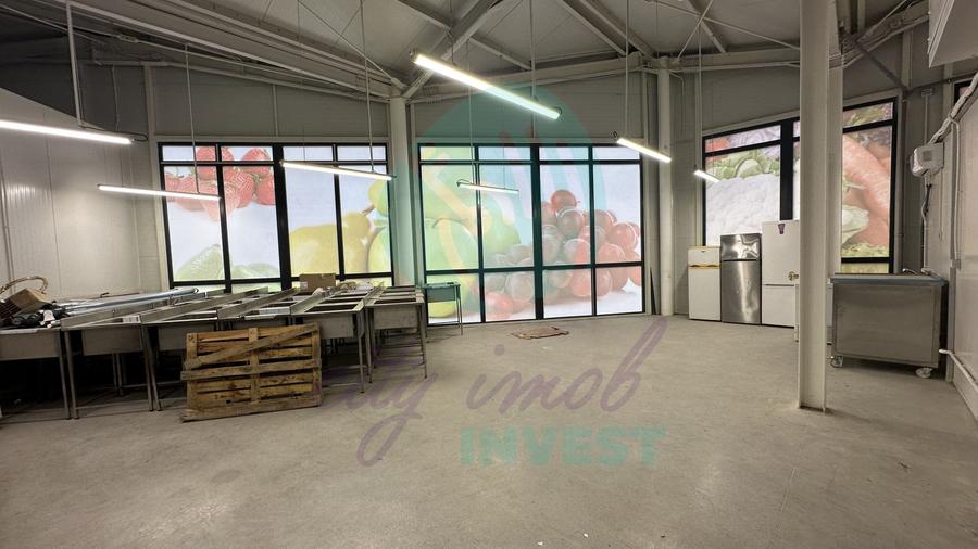 Spatii comerciale de inchiriat in PIATA DELFINULUI