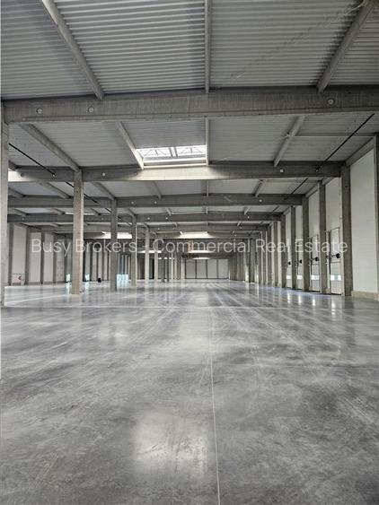 Spatiu Industrial - 1700 mp - Productie - Depozitare - 3
