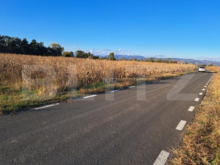 Teren extravilan cu potențial IMENS de dezvoltare în BĂCIA - HUNEDOARA - 4