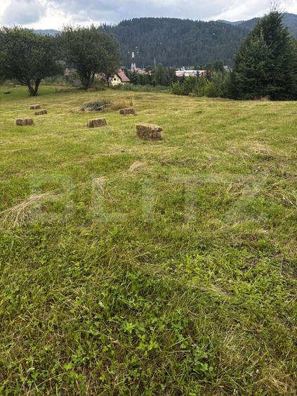 Teren intravilan, Bucșoaia - Frasin, 13000 mp