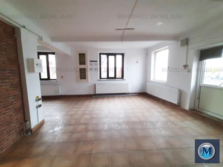 Vila cu 11 camere de vanzare, zona Gheorghe Doja, 237.7 mp #16106