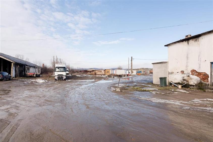 RECO . Proprietate industriala Tileagd .