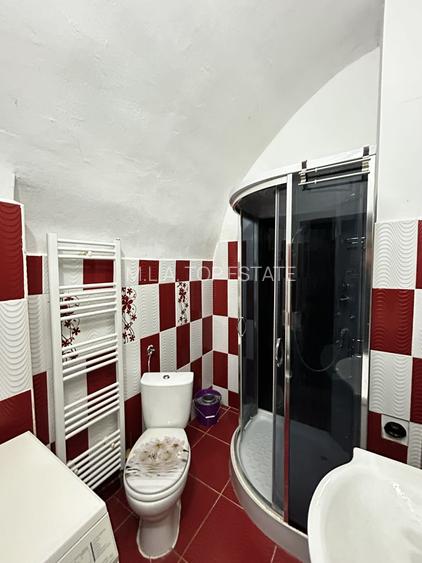 Apartament 3 Camere De Inchiriat Boul Rosu - 4