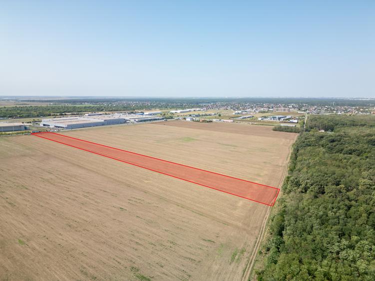 Teren Vanzare Intravilan Branesti - Investitie Zona Industriala Vis a Vis Makita