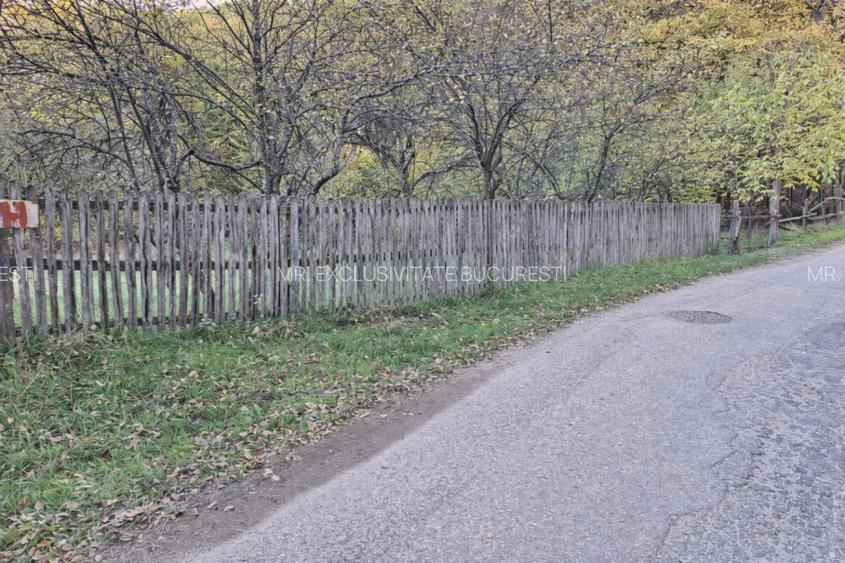 Teren intravilan 600 mp, liziera pădurii, Balotești, Posibilitate casa Parter - 2