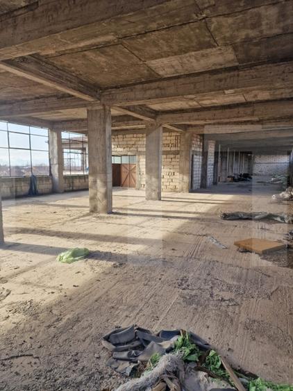 Oportunitate rară de investiție: clădire industrială cu teren generos, Freidorf