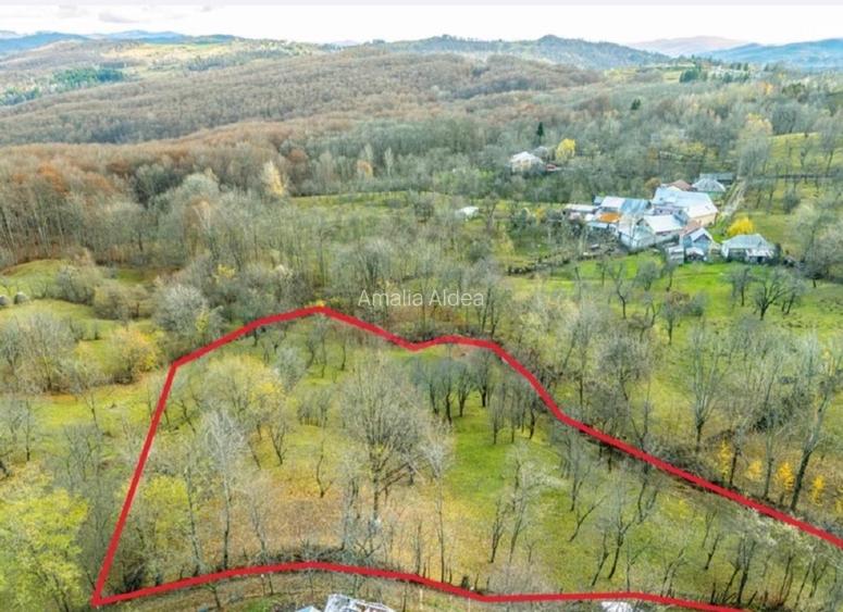 Teren intravilan 4.384 mp | 65 ml deschidere | curent + apă |  - 4