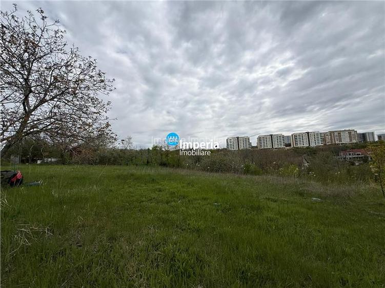 Teren intravilan IASI - COPOU - VITICULTORI - in vecinatatea padurii - 6