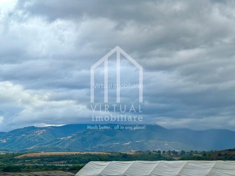 2 hale/depozite, 1850mp, deschidere 35m - Vestem