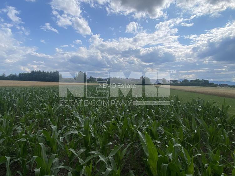 Teren Intravilan | 20 Ari | Frătăuții Noi - 2
