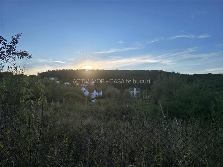 Teren intravilan de vanzare in padure Cisnadioara - 15