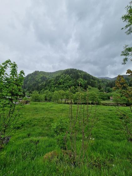 Teren intravilan - Rucar - Satic - 1775 mp - la strada principala - deschidere