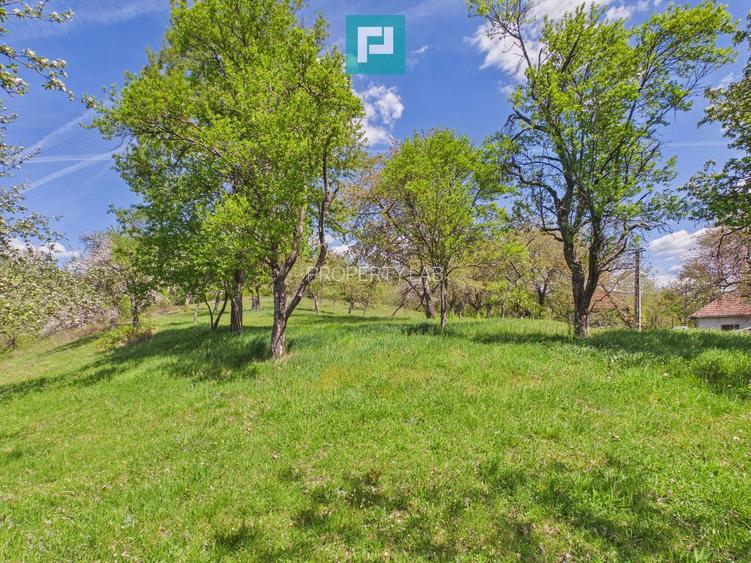 Proprietate rară cu 24.270 mp, în Măgulicea, Arad!