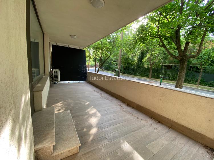 Spatiu de 47.10 m2 utili+19.20 m2 terasa langa parcul Herastrau - 9