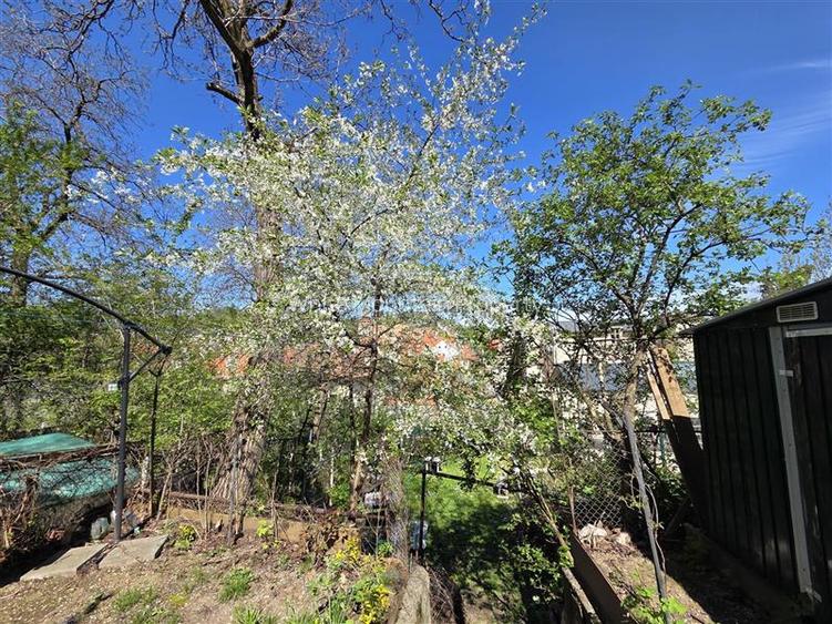 Apartament deosebit cu 3 camere str. Castelului - 3