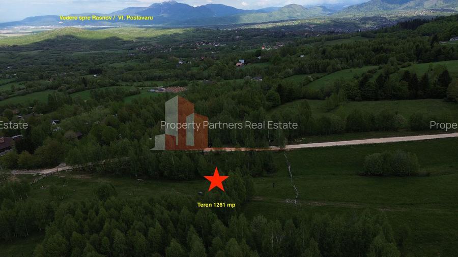 Teren intravilan 5.261 mp Tohănița | Deschidere 49 m | Utilități, lângă pădure - 4