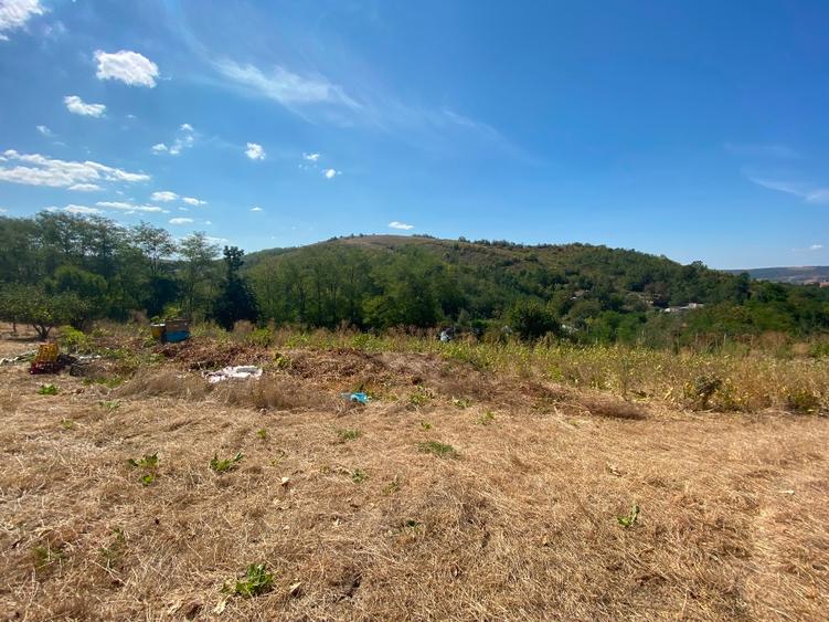 Vând teren intravilan zona meliferă ,comuna Parincea Jud Bacau