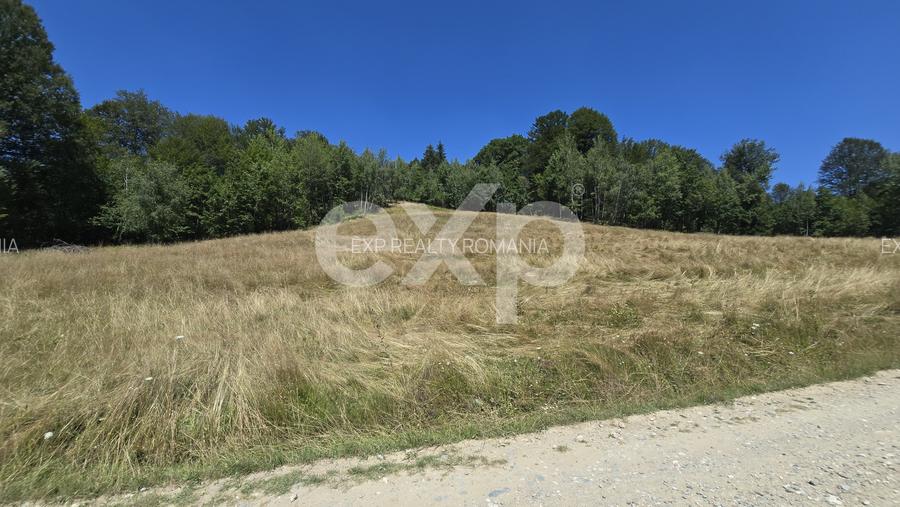 36.200 mp teren | Poiana Mărului | Platou | Apă și curent | 1 km de Sergiana - 4