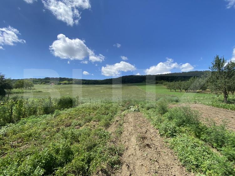 Teren intravilan in suparafat de 19213 mp, zona Valea Mitii