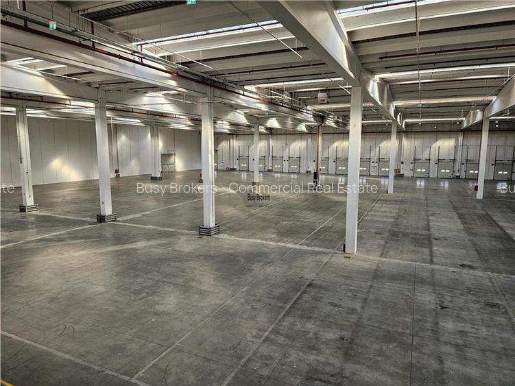 Spatii Industriale - 10000 mp - Logistica - Productie - Depozitare - Distributie - 18